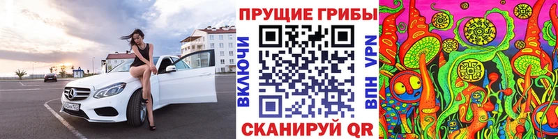 Галлюциногенные грибы GOLDEN TEACHER  даркнет сайт  MEGA зеркало  Калач 